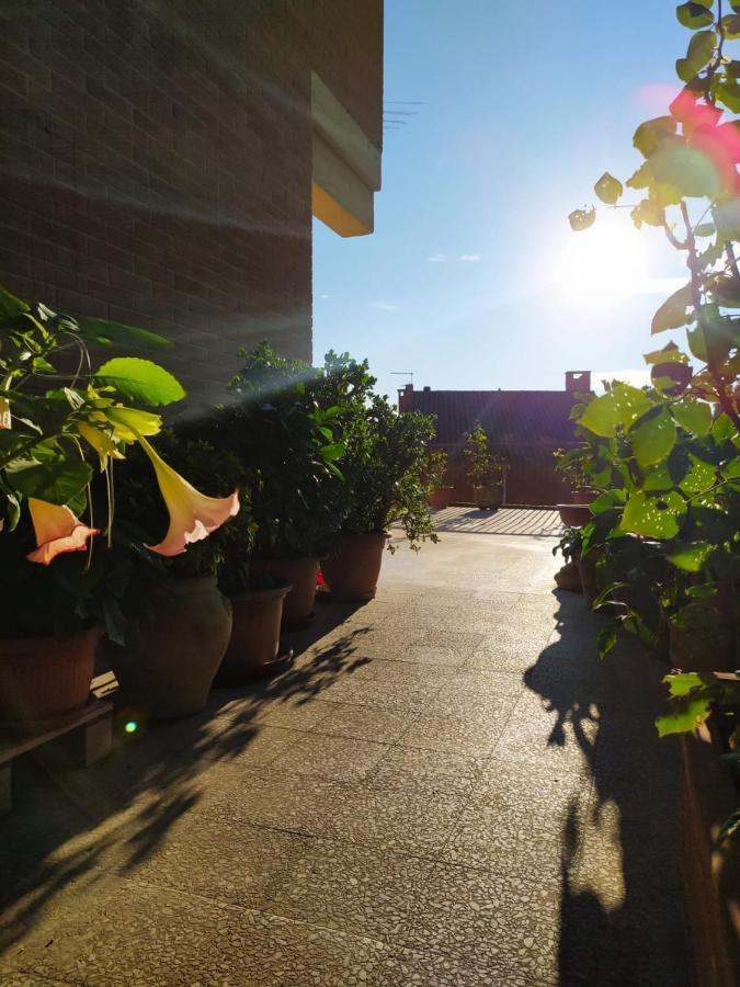 Residenza Damiano Hotel Assisi Exterior foto